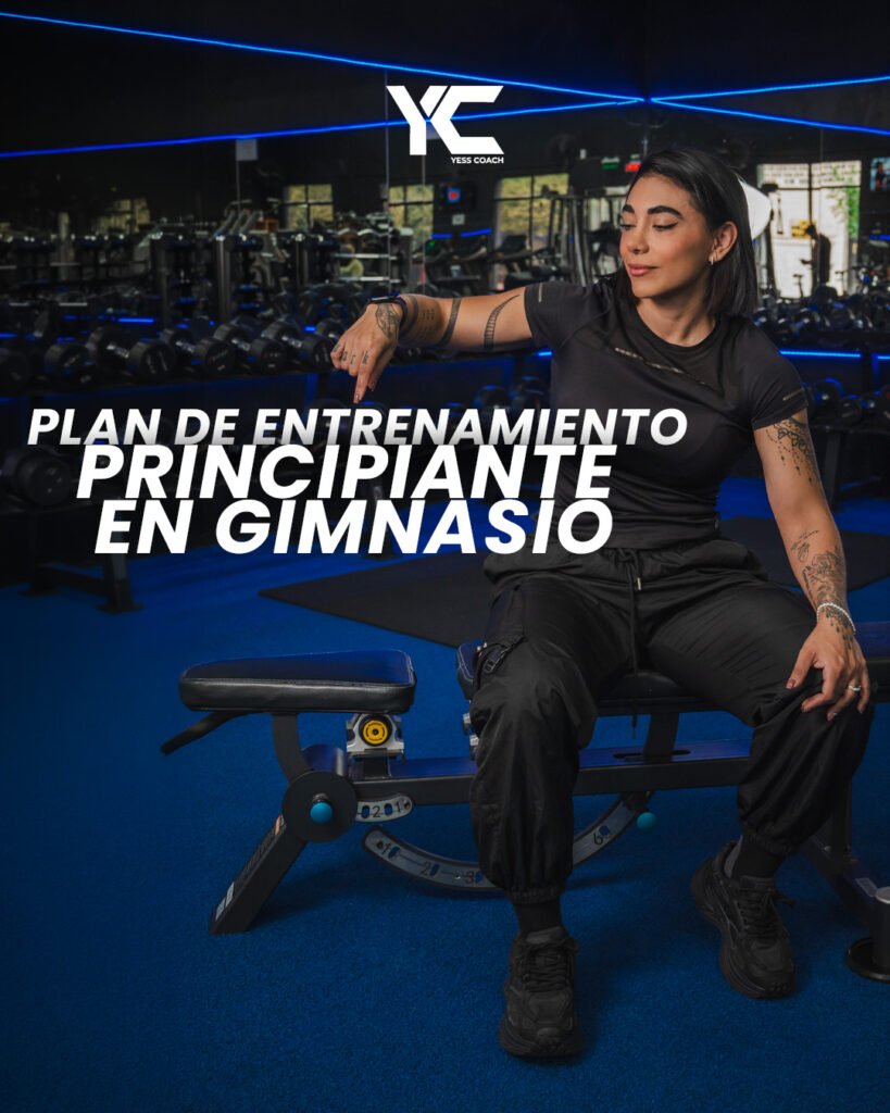 diseño.productos
